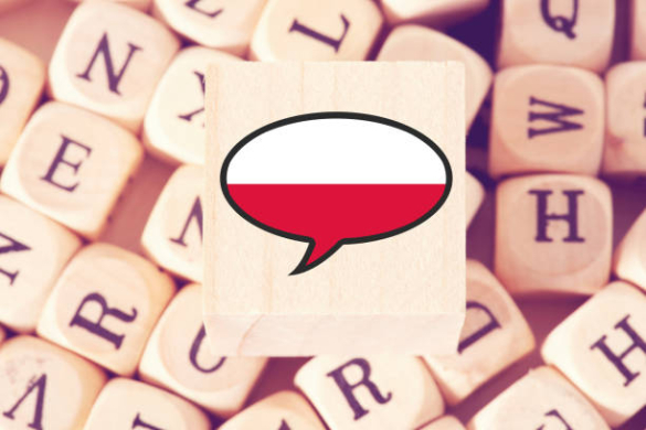 Praca z uczniem z doświadczeniem migracyjnym: język polski jako obcy